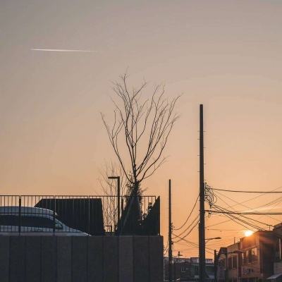 极速赛车信誉老平台